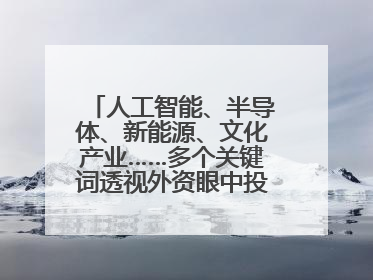 人工智能、半导体、新能源、文化产业……多个关键词透视外资眼中投资中国的新机遇