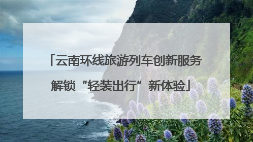 云南环线旅游列车创新服务 解锁“轻装出行”新体验