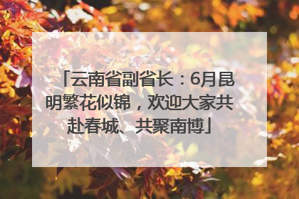 云南省副省长：6月昆明繁花似锦，欢迎大家共赴春城、共聚南博