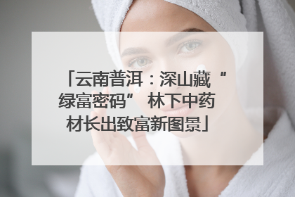 云南普洱：深山藏“绿富密码” 林下中药材长出致富新图景