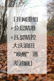 井网重组+分层精准+压裂精控 大庆油田“唤醒”薄差油藏