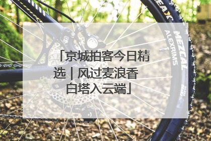 京城拍客今日精选｜风过麦浪香 白塔入云端