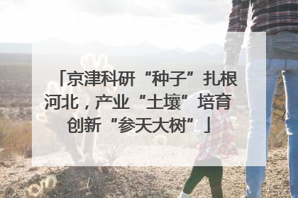 京津科研“种子”扎根河北，产业“土壤”培育创新“参天大树”