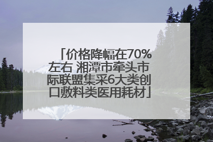 价格降幅在70%左右 湘潭市牵头市际联盟集采6大类创口敷料类医用耗材