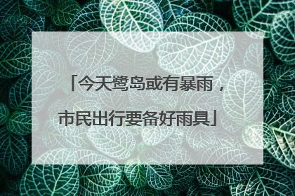 今天鹭岛或有暴雨，市民出行要备好雨具