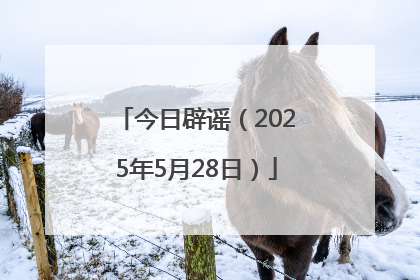 今日辟谣（2025年5月28日）