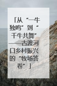 从“一牛独鸣”到“千牛共舞”——古渡河口乡村振兴的“牧场答卷”