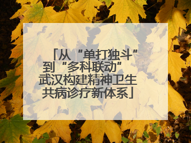 从“单打独斗”到“多科联动” 武汉构建精神卫生共病诊疗新体系