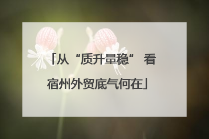 从“质升量稳” 看宿州外贸底气何在