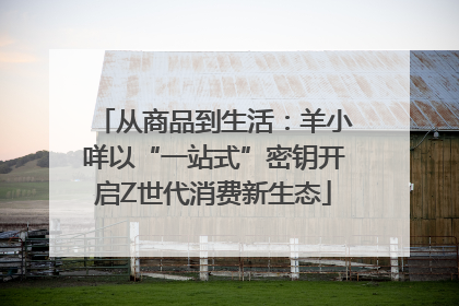 从商品到生活：羊小咩以“一站式”密钥开启Z世代消费新生态