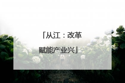 从江：改革赋能产业兴