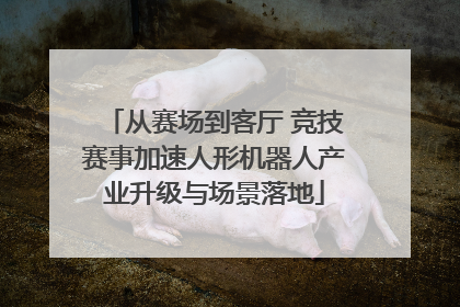 从赛场到客厅 竞技赛事加速人形机器人产业升级与场景落地