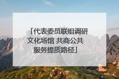代表委员联组调研文化场馆 共商公共服务提质路径