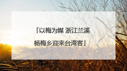 以梅为媒 浙江兰溪杨梅乡迎来台湾客
