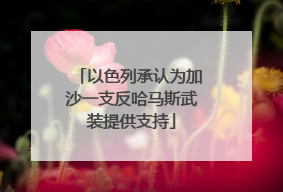 以色列承认为加沙一支反哈马斯武装提供支持