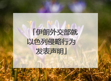 伊朗外交部就以色列侵略行为发表声明