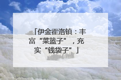 伊金霍洛镇：丰富“菜篮子”，充实“钱袋子”