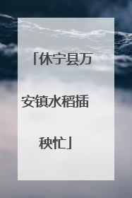 休宁县万安镇水稻插秧忙