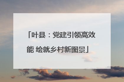 叶县：党建引领高效能 绘就乡村新图景