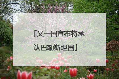 又一国宣布将承认巴勒斯坦国