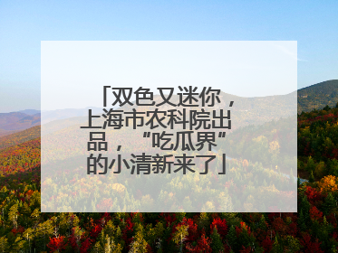双色又迷你，上海市农科院出品，“吃瓜界”的小清新来了