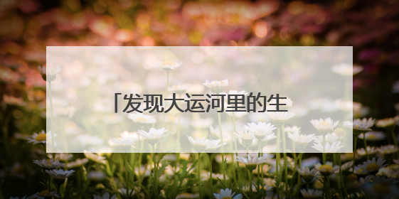 发现大运河里的生态文明｜扬州：让致富河流淌出好生态