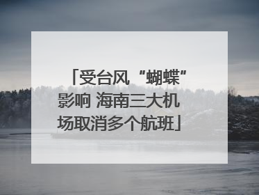 受台风“蝴蝶”影响 海南三大机场取消多个航班