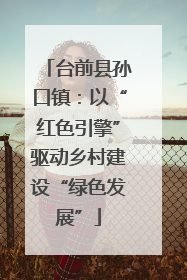 台前县孙口镇：以“红色引擎”驱动乡村建设“绿色发展”