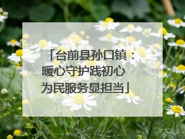台前县孙口镇：暖心守护践初心 为民服务显担当
