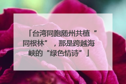 台湾同胞随州共植“同根林”，那是跨越海峡的“绿色情诗”