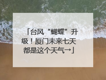 台风“蝴蝶”升级！厦门未来七天都是这个天气→