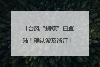 台风“蝴蝶”已登陆！确认波及浙江
