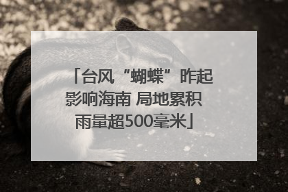 台风“蝴蝶”昨起影响海南 局地累积雨量超500毫米