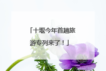 十堰今年首趟旅游专列来了！