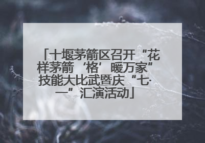 十堰茅箭区召开“花样茅箭‘格’暖万家”技能大比武暨庆“七·一”汇演活动