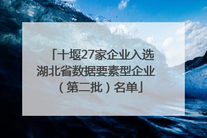 十堰27家企业入选湖北省数据要素型企业（第二批）名单