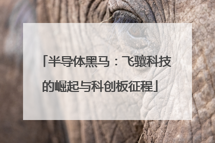 半导体黑马：飞骧科技的崛起与科创板征程