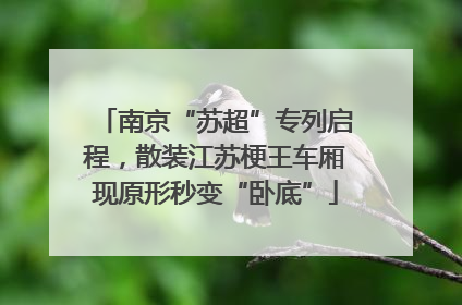 南京“苏超”专列启程，散装江苏梗王车厢现原形秒变“卧底”