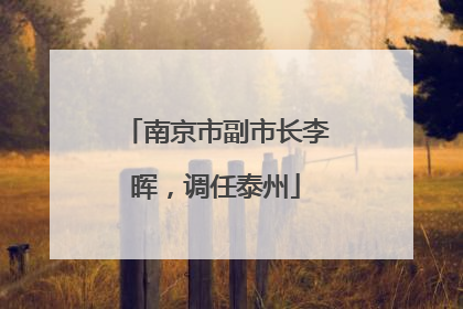 南京市副市长李晖，调任泰州