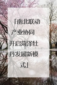 南北联动产业协同 开启菏泽牡丹发展新模式