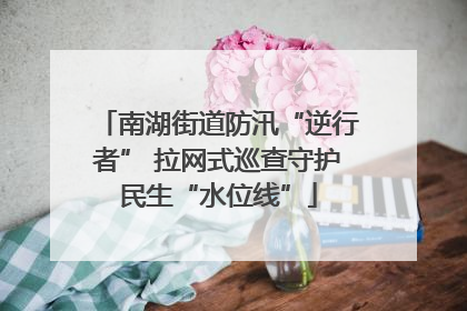 南湖街道防汛“逆行者” 拉网式巡查守护民生“水位线”