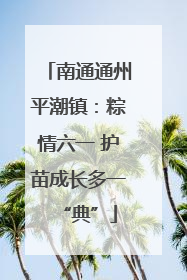 南通通州平潮镇：粽情六一 护苗成长多一“典”