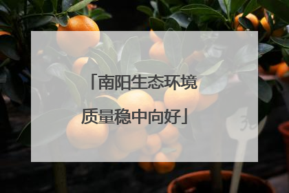 南阳生态环境质量稳中向好