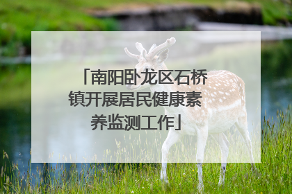 南阳卧龙区石桥镇开展居民健康素养监测工作