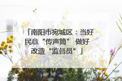 南阳市宛城区：当好民意“传声筒” 做好改造“监督员”
