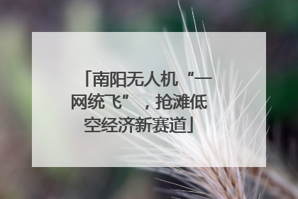 南阳无人机“一网统飞”，抢滩低空经济新赛道