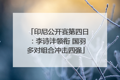 印尼公开赛第四日：李诗沣领衔 国羽多对组合冲击四强