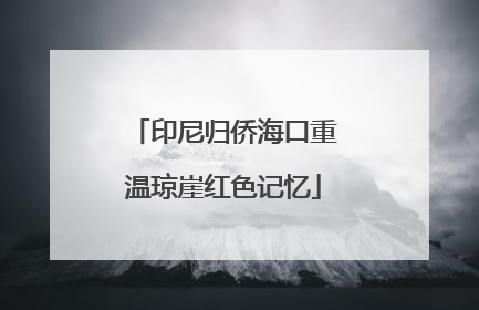印尼归侨海口重温琼崖红色记忆