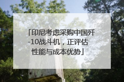印尼考虑采购中国歼-10战斗机，正评估性能与成本优势
