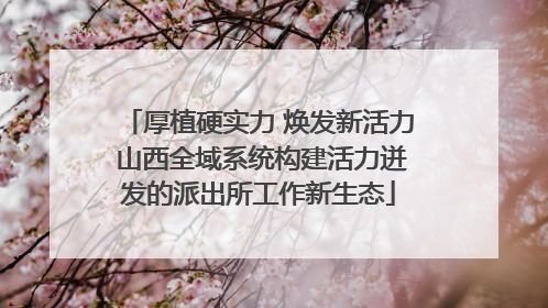厚植硬实力 焕发新活力 山西全域系统构建活力迸发的派出所工作新生态